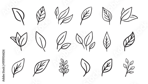 Hand drawn leaf eco set. Black line doodle leaf icons