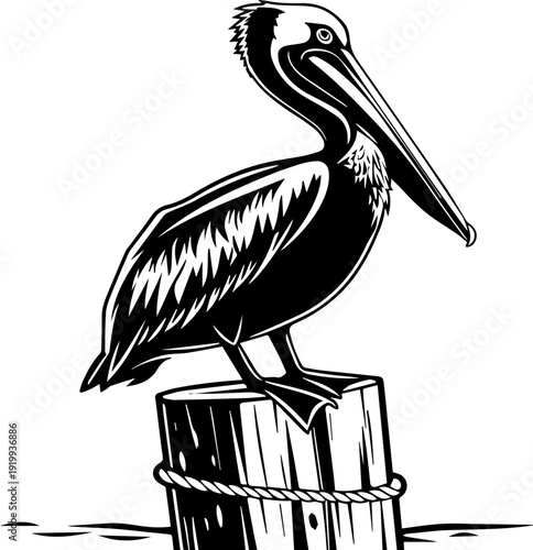 Black and White Pelican Perched on Pier Post Vector Illustration