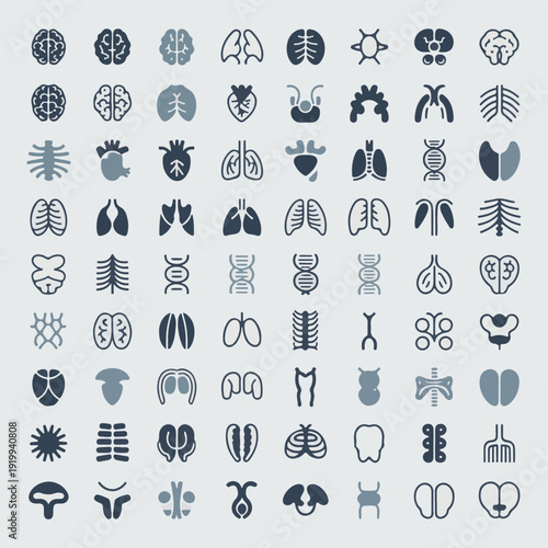 A comprehensive collection of medical human organ icons and biological symbols.
