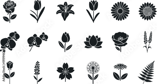 Collection of black silhouette floral and botanical flower white rose