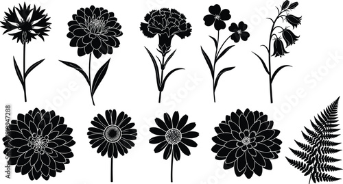 Black flower silhouettes set including daisy, zinnia, carnation, bellflower, and fern leaf for garden floral nature