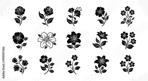 Collection of fifteen black floral silhouette on white background flower rose 1 lily blossom
