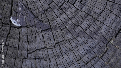 Wallpaper Mural Fragment of old tree rings texture with cracks top view Torontodigital.ca