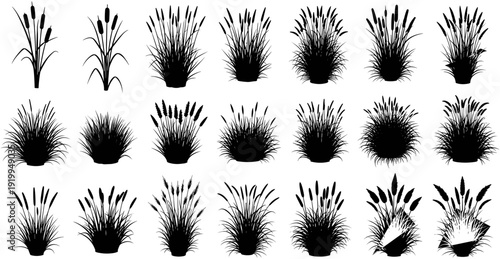 Cattail and marsh grass silhouettes set isolated on white background for nature wetland swamp river bank and outdoor vector design