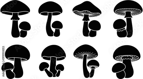 Black mushroom silhouette set, fungi forest plant vector icons, toadstool collection, organic nature design elements, autumn woodland wildlife graphics.