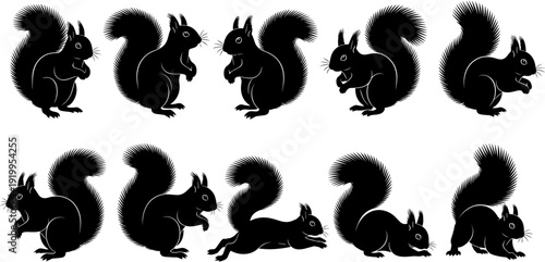 Black squirrel silhouette set, bushy tail forest animal vector icons, wild rodent collection, nature wildlife graphics, park animal design elements.