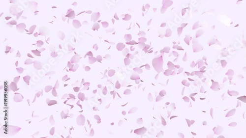 Cherry Blossom Explosion Pastel Background