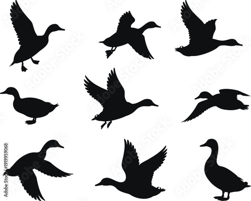 Flying duck silhouettes collection, wild waterfowl bird black vector illustration set isolated on white background wildlife design