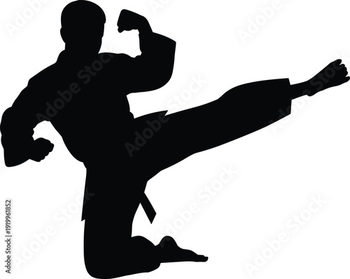 Martial arts fighter silhouette performing high kick, karate taekwondo combat pose isolated on white background dynamic sport illustration design