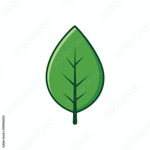 Close up of a Fresh Green Leaf for Nature and Environment Themes