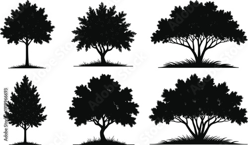 Black silhouettes of trees on white background tree silhouettes black trees foliage