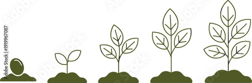 Sequential plant growth stages from seed to mature sapling with soil mounds, green leaves, sprout development, botanical lifecycle, sustainable gardening, minimalist vector illustration
