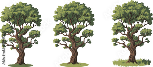 Stylized leafy tree illustrations set with twisted trunks and dense green foliage, natural forest elements in hand-drawn vector style on white background