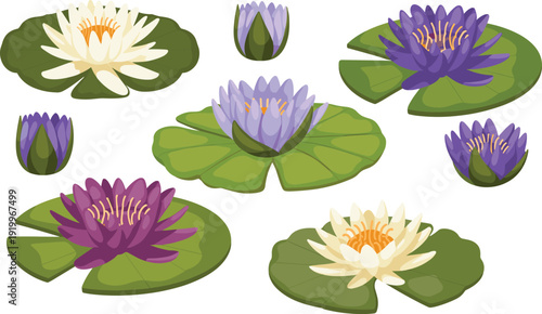 Vector illustration collection of water lily flowers and lily pads in various colors and stages, layered flat shading, editable EPS and SVG files
