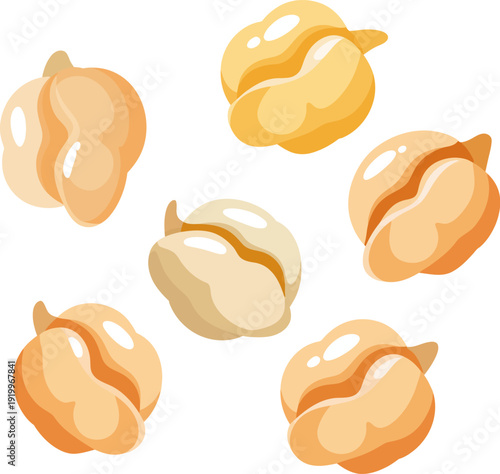 Collection of dry raw chickpeas isolated on white background