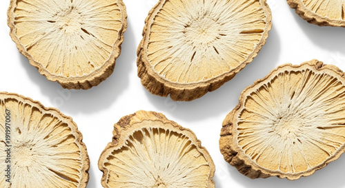 Cross section of tree trunk slices on white background wooden discs with rings natural texture and pattern