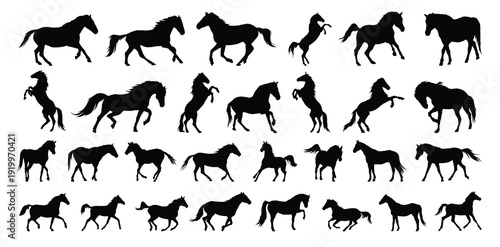 horse silhouette set. horse different poses isolated farm animal silhouette icon vector collection