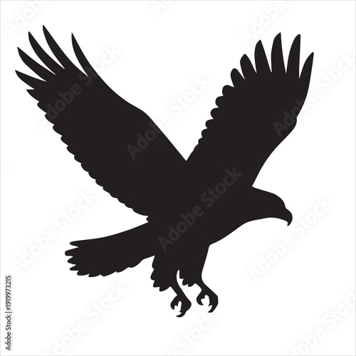 eagle silhouette vector