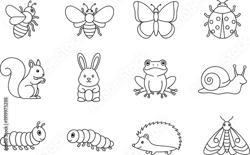 Collection of twelve cute animal and insect line art illustrations for coloring books or icons