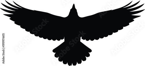 Bird silhouette in flight, wings spread vector, feather detail illustration, flying animal icon, aerial symmetry graphic, flat vector illustration, flavector