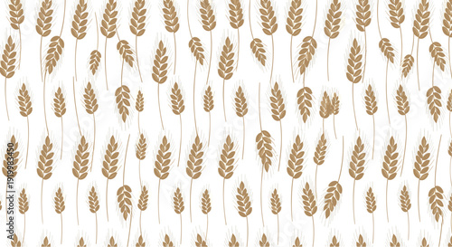 Seamless agricultural pattern of golden wheat stalks or barley ears on a white background for bakery and farm products.