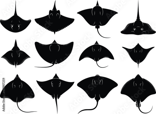 Stingray silhouette vector set, marine manta ray animal collection, isolated black and white ocean wildlife illustration