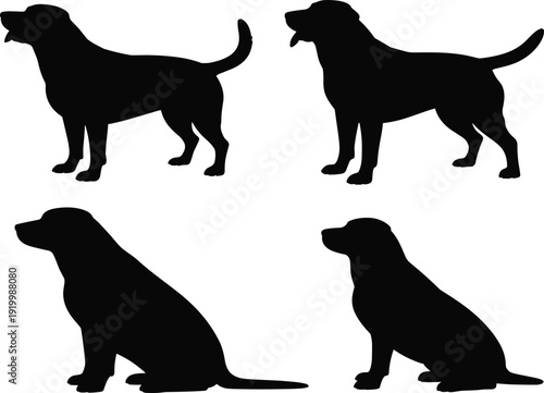 qLabrador Retriever silhouette vector set, domestic dog pet animal poses, isolated black and white graphic illustration