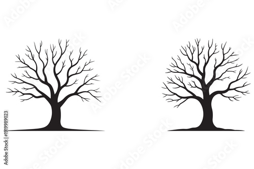 Leafless winter tree black silhouette isolated natural landscape design
