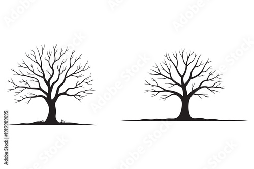 Leafless winter tree black silhouette isolated natural landscape design
