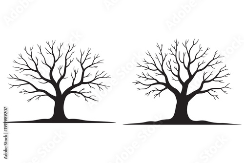 Leafless winter tree black silhouette isolated natural landscape design

