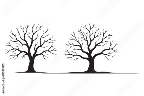 Leafless winter tree black silhouette isolated natural landscape design
