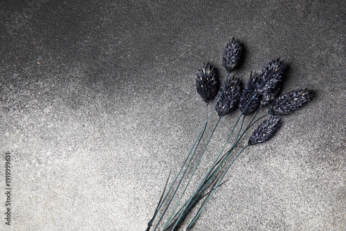 Beautiful dried flowers on ...