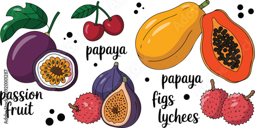 Assortment of exotic and common fruits, fresh produce, healthy food items, natural ingredients, illustration