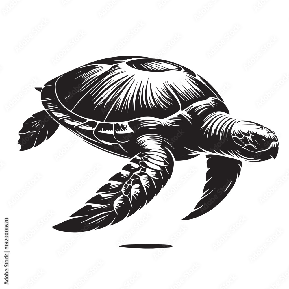 Fototapeta premium Black Saving turtle Silhouette Vector, High Quality Illustration on White Background