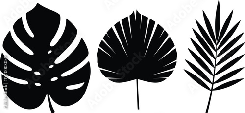 Black silhouettes of tropical leaves on white background