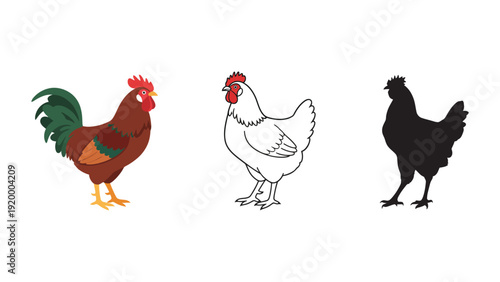 A colorful rooster and chicken illustrations with a black silhouette
