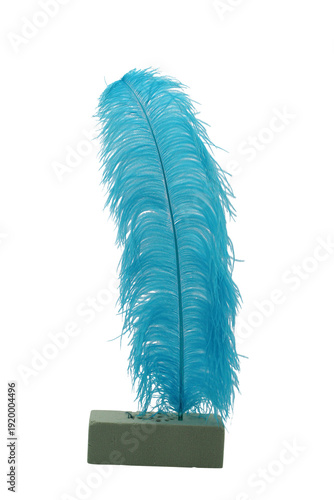 Aqua Blue Feather Isolated on Transparent Background