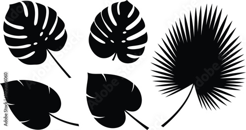 set of tropical leaves on white background