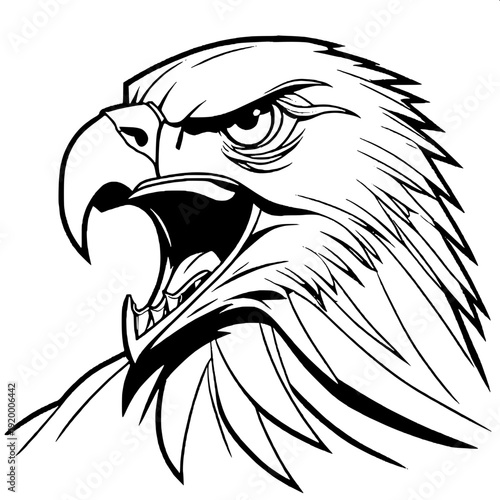Detailed bald eagle sketch style vector, open wings, sharp beak and talons, coloring book style
