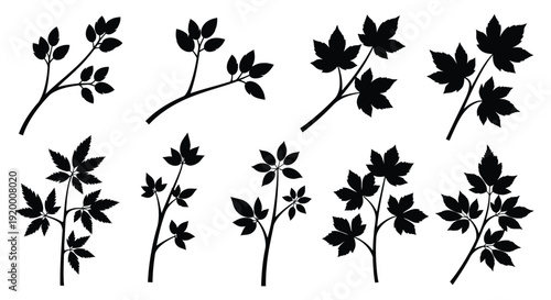 Black silhouettes of various leafy branches and stems on white background
