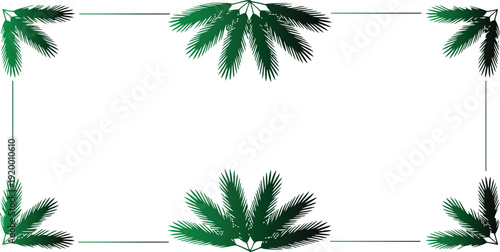 Palm tree leaves frame border design with green lines on white background for decoration and illustration purposes  tropical feel