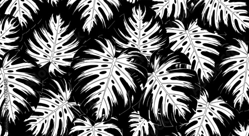 Tropical leaves pattern illustration on black background viewed from directly above