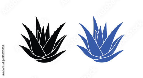Two aloe vera plants depicted in contrasting color schemes a silhouette