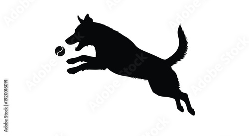 A german shepherd leaps for a ball in dynamic motion silhouette