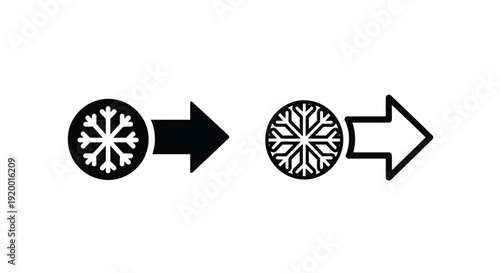 Snowflake transformation sequence illustrated with a bold silhouette