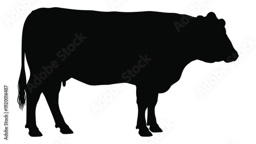 Silhouette of a cow standing on a plain, facing to the right. isolated on white background, Vector