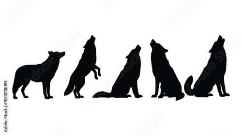 Silhouettes of dogs in various poses against a white background isolated on white background, Vector