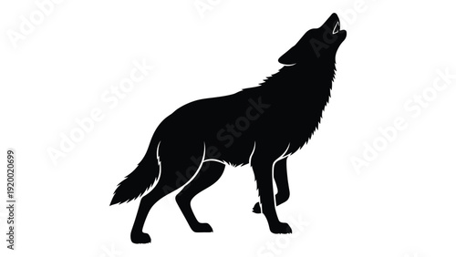 A black silhouette of a wolf howling at the moon in a night scene isolated on white background, Vector