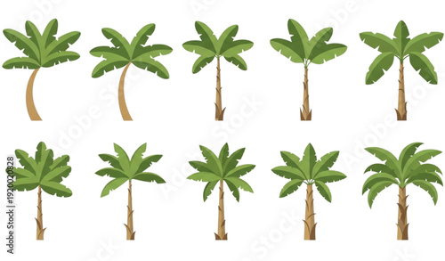 Flat banana tree collection vector set with tropical garden plants isolated on white background for decorative and eco design