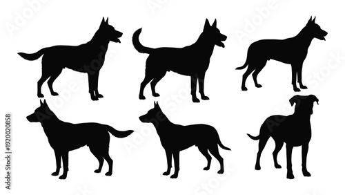 Six black silhouettes of dogs in various poses and breeds isolated on white background, Vector